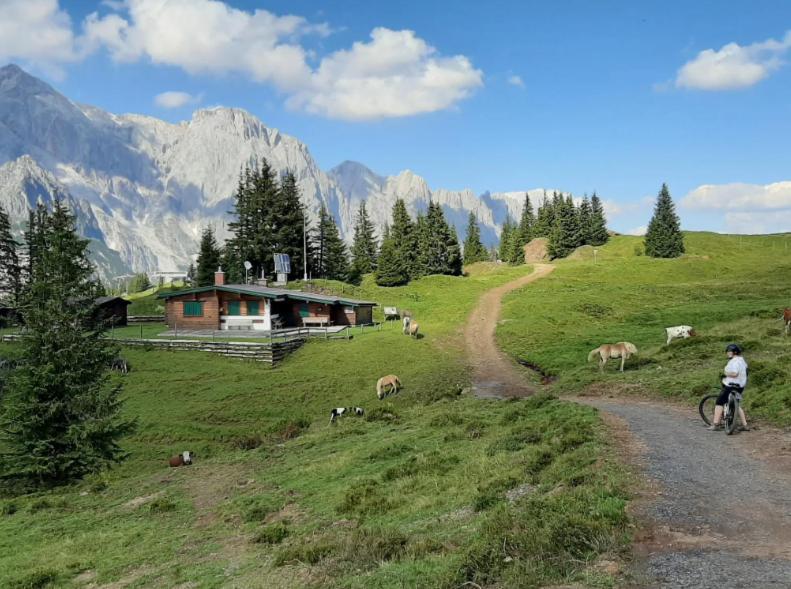 Mühlbach am Hochkönig Hochkoenig Ferien 아파트 외부 사진